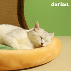 durian 감나무 디자인 고양이 스크래쳐 하우스｜천연 사이잘 캣베드 & 인테리어 소품