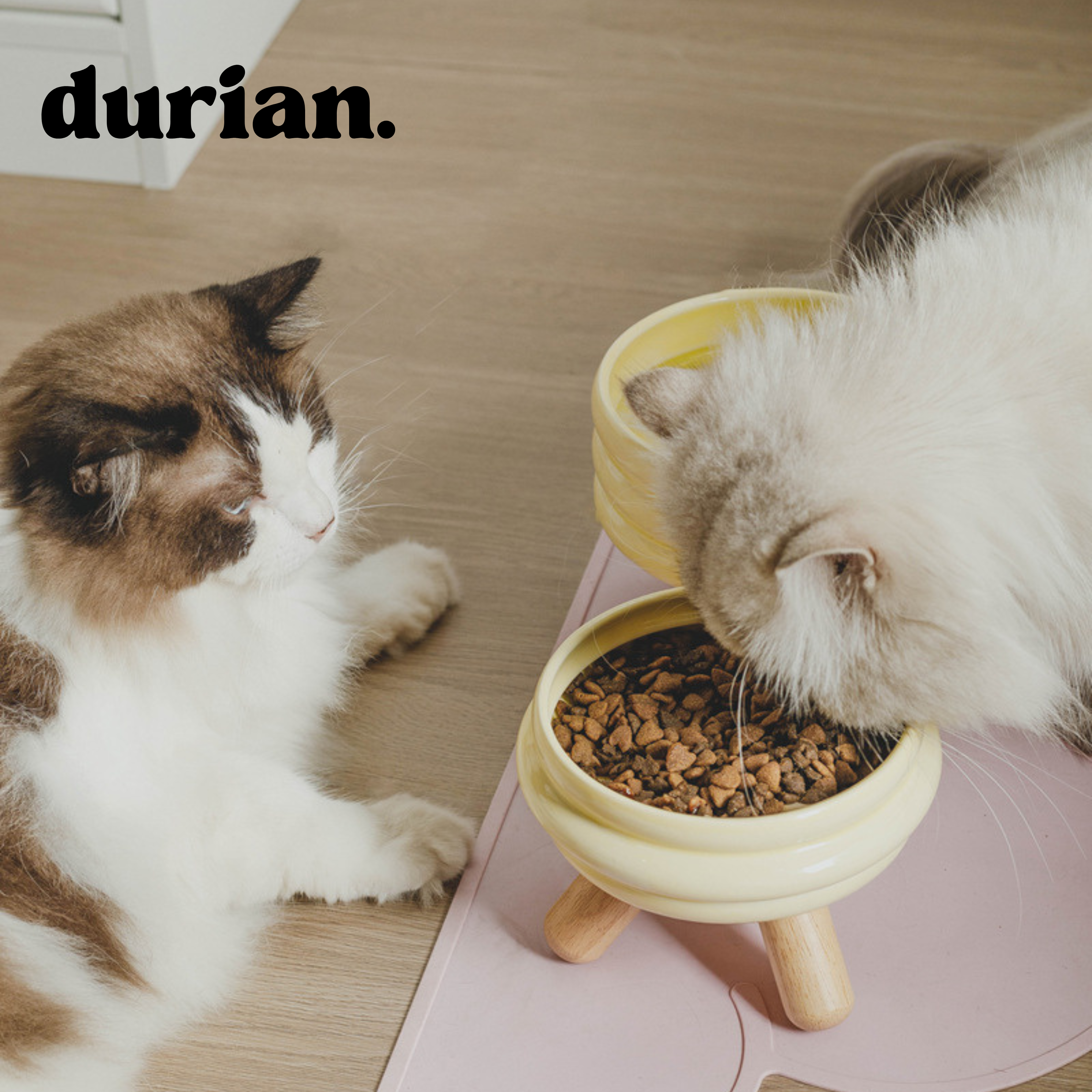 durian. 세라믹 펫푸드볼 고다리 스탠드형｜고양이·소형견 겸용 식기세트 (사료볼 & 워터볼)